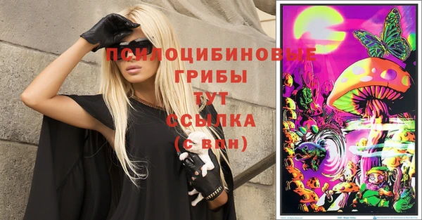 jwh Абаза